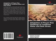 Bookcover of Adaptation of Pinyon Pine Seedlings to Combined Water and Heat Stress