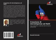 Creazione di microimprese ad Haiti的封面