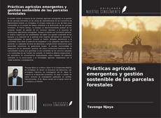 Couverture de Prácticas agrícolas emergentes y gestión sostenible de las parcelas forestales