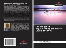 Bookcover of Challenges in Implementing the Water Law in the DRC