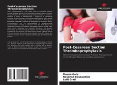 Post-Cesarean Section Thromboprophylaxis kitap kapağı