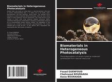 Biomaterials in Heterogeneous Photocatalysis kitap kapağı