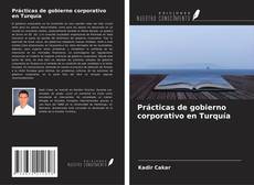 Prácticas de gobierno corporativo en Turquía的封面