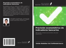 Previsión econométrica de indicadores bancarios的封面