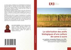 La valorisation des actifs biologiques d’une culture de canne à sucre的封面