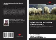 Spatio-temporal dynamics of pastoral resources的封面
