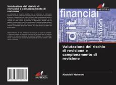 Valutazione del rischio di revisione e campionamento di revisione的封面