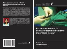 Buchcover von Estructura de matriz celular obtenida mediante ingeniería tisular