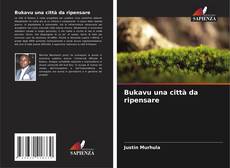 Обложка Bukavu una città da ripensare