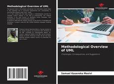 Couverture de Methodological Overview of UML