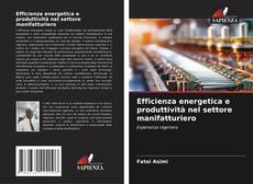 Efficienza energetica e produttività nel settore manifatturiero的封面
