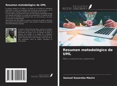 Copertina di Resumen metodológico de UML