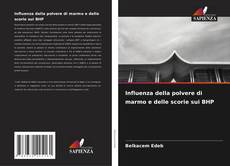 Capa do livro de Influenza della polvere di marmo e delle scorie sui BHP 