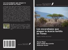 Bookcover of Los escarabajos que plagan la Acacia tortilis en Túnez