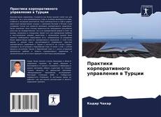 Практики корпоративного управления в Турции的封面