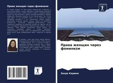 Copertina di Права женщин через феминизм