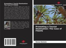 Обложка Promoting a Tourist Destination: The Case of FIGUIG
