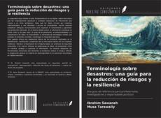 Terminología sobre desastres: una guía para la reducción de riesgos y la resiliencia的封面