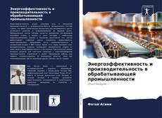 Copertina di Энергоэффективность и производительность в обрабатывающей промышленности