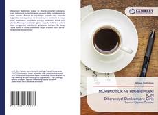 Buchcover von MÜHENDİSLİK VE FEN BİLİMLERİ İÇİN Diferansiyel Denklemlere Giriş