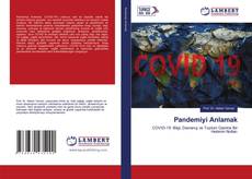 Buchcover von Pandemiyi Anlamak