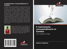 Il matrimonio consuetudinario in Zambia kitap kapağı