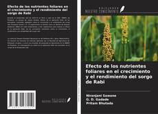 Couverture de Efecto de los nutrientes foliares en el crecimiento y el rendimiento del sorgo de Rabi