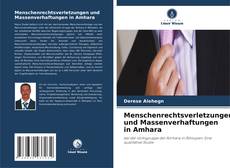 Menschenrechtsverletzungen und Massenverhaftungen in Amhara kitap kapağı