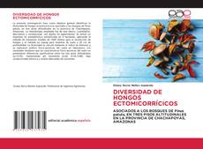 Copertina di DIVERSIDAD DE HONGOS ECTOMICORRÍCICOS