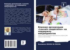 Buchcover von Влияние организации «Louvain coopération» на поддержку микропроектов