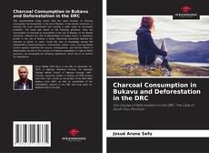 Обложка Charcoal Consumption in Bukavu and Deforestation in the DRC