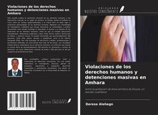 Capa do livro de Violaciones de los derechos humanos y detenciones masivas en Amhara 