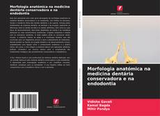 Buchcover von Morfologia anatómica na medicina dentária conservadora e na endodontia