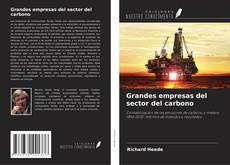 Grandes empresas del sector del carbono kitap kapağı