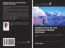 GEOPOLÍTICA DE LAS MATERIAS PRIMAS CRÍTICAS的封面