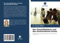 Der Geschäftsführer und das strafrechtliche Risiko kitap kapağı