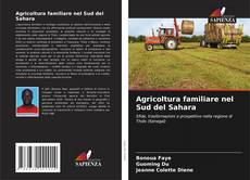 Agricoltura familiare nel Sud del Sahara kitap kapağı