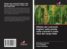 Effetto dei nutrienti fogliari sulle piante sulla crescita e sulla resa del sorgo Rabi kitap kapağı