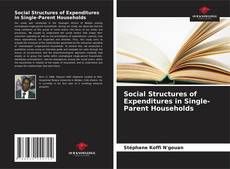 Portada del libro de Social Structures of Expenditures in Single-Parent Households