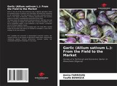 Borítókép a  Garlic (Allium sativum L.): From the Field to the Market - hoz