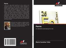 Portada del libro de Ferro