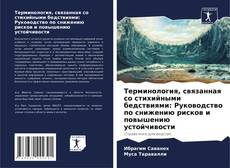 Copertina di Терминология, связанная со стихийными бедствиями: Руководство по снижению рисков и повышению устойчивости