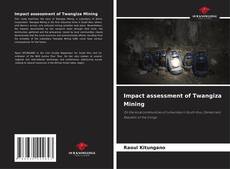 Buchcover von Impact assessment of Twangiza Mining