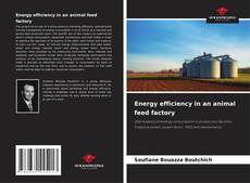 Обложка Energy efficiency in an animal feed factory
