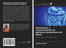 Buchcover von Aislamiento y caracterización de bacterias productoras de lipasa