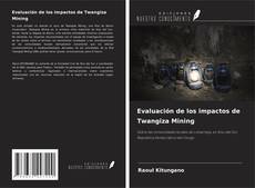 Couverture de Evaluación de los impactos de Twangiza Mining
