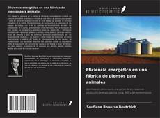 Bookcover of Eficiencia energética en una fábrica de piensos para animales