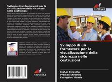 Sviluppo di un framework per la visualizzazione della sicurezza nelle costruzioni kitap kapağı
