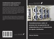 Consideraciones sobre el proceso de recuperación de subproductos en el tratamiento de aguas residuales的封面