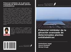 Обложка Potencial inhibidor de la glicación avanzada de determinadas plantas antidiabéticas